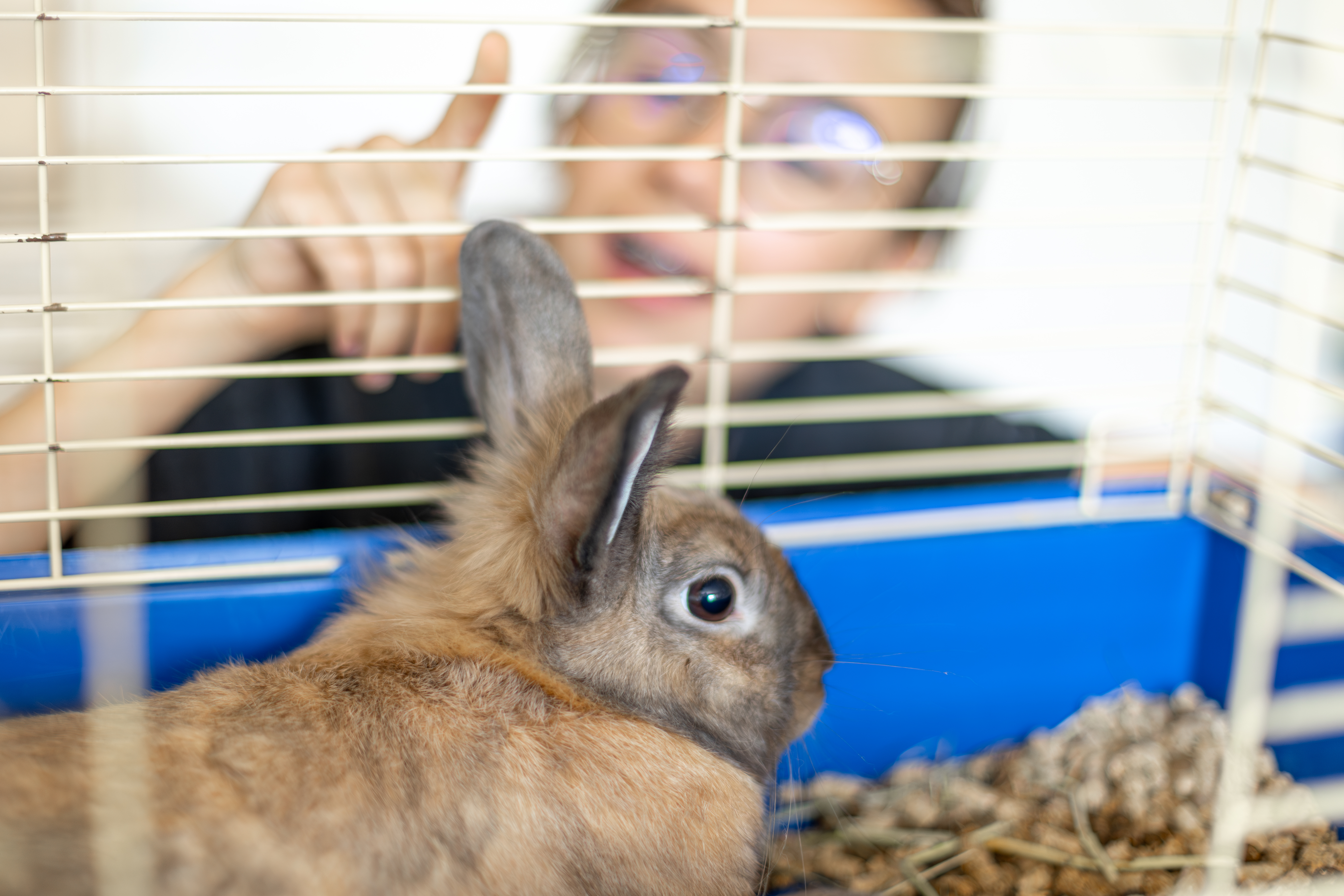 Kleintierkäfig Empfehlung: Der ultimative Ratgeber